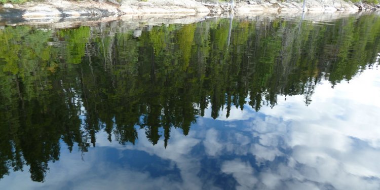 1+ images about Thunder Bay