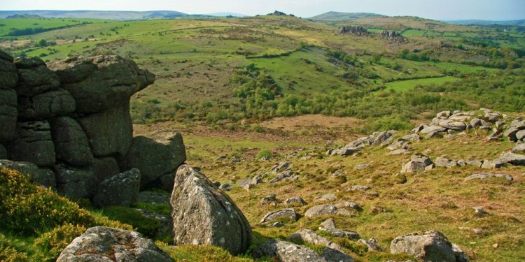 Dartmoor National Park