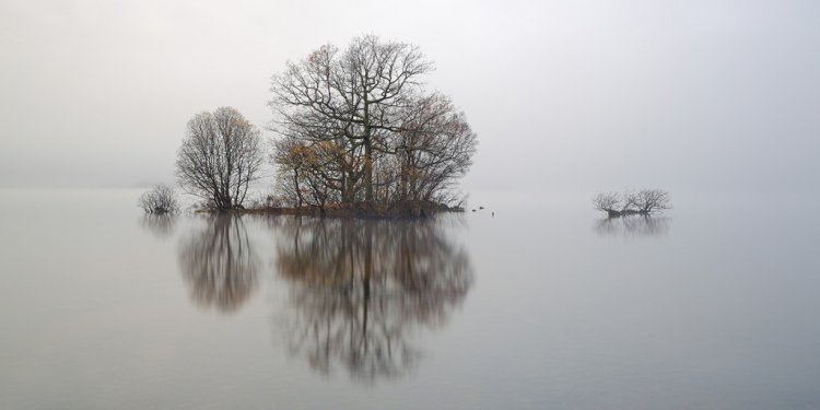 Loch-lomond mist