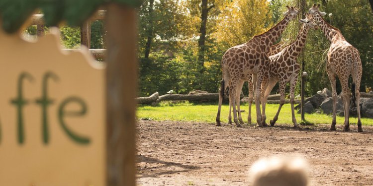 Family days out in the UK