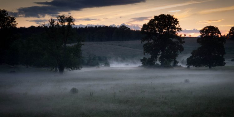 Misty Midlands