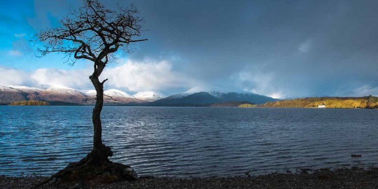 Loch Lomond Chalet Rowardennan