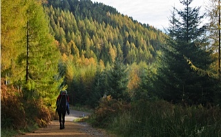 A walk at Aberfoyle