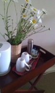 Hospitality tray