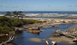 Kalaloch Lodge Webcam see