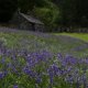 Landscape Argyll and Bute England