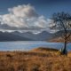 Landscape Arrochar England