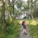 Landscape Rowardennan England