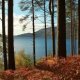 Loch Lomond Campsites