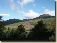 Sunny Cobbler