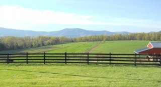 The view from Piney Hill Bed & Breakfast and Cottages