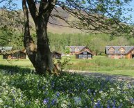 Cottages Loch Lomond Scotland