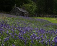 Landscape Argyll and Bute England