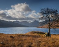 Landscape Arrochar England