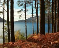 Loch Lomond Campsites