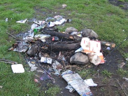 fires web site left with litter by irresponsible visitors