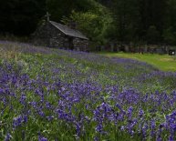 Landscape Argyll and Bute England