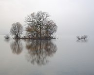 Landscape Loch Lomond Scotland